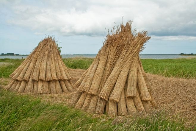 "Бабки" из снопов