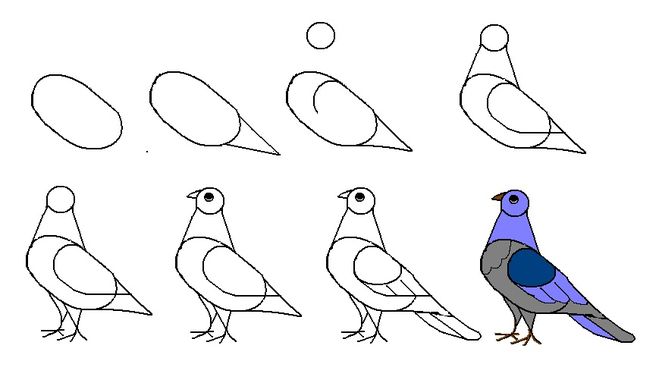 как нарисовать голубя поэтапно, как нарисовать голубя мира