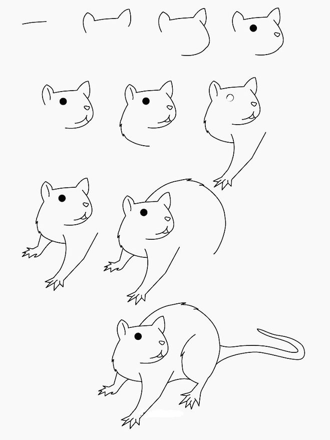 как нарисовать мышь поэтапно