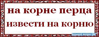 на корне или на корню, как писать