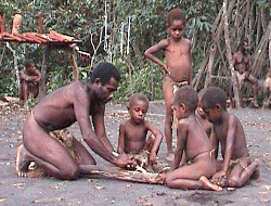 Коренные жители Новой Гвинеи