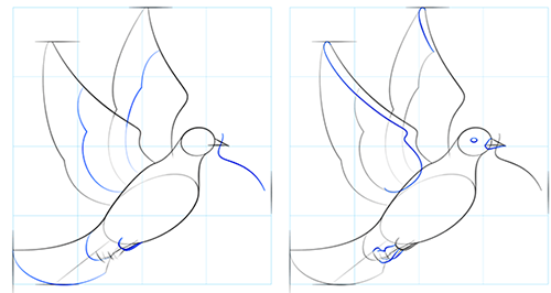 Голубь с оливковой ветвью рисунок поэтапно