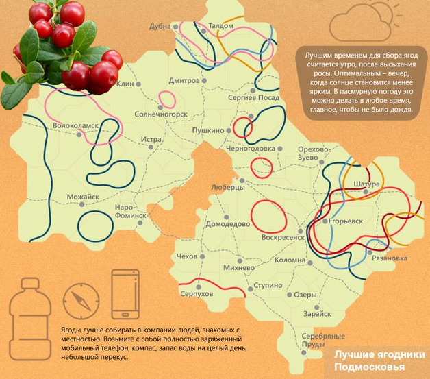 Клюквенные места Подмосковья. Где и когда собирать клюкву?