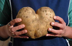 сердце картошка