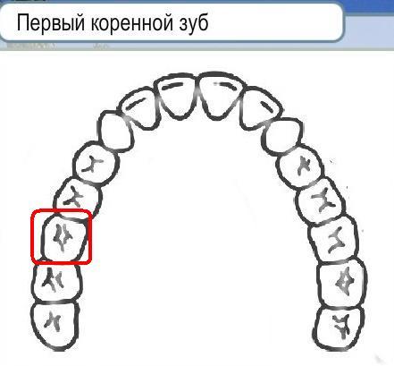 текст при наведении