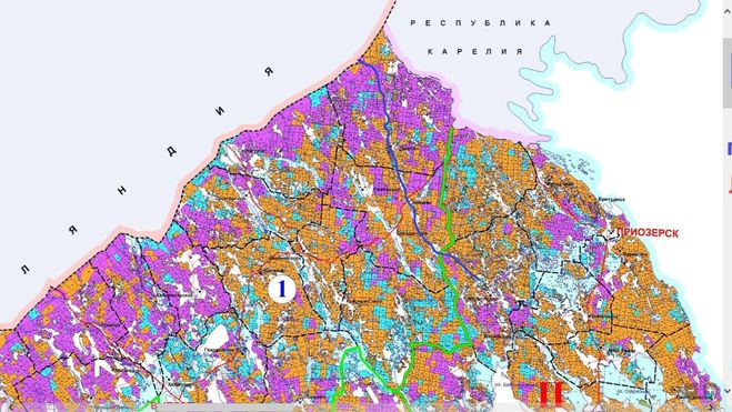 фрагмент Карты-схемы лесов Ленинградской области по породам