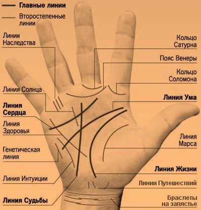 руки хиромантия гадание