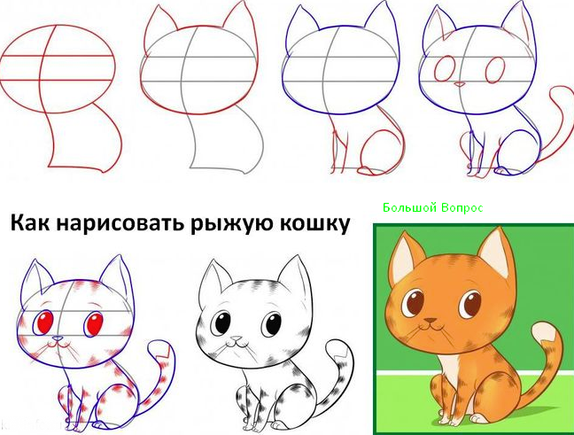 рисунок к рассказу Котенок Толстого