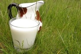 смешанное молоко разных животных