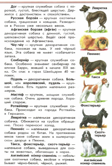 Атлас определитель "От земли до неба": какие породы собак в нем приведены