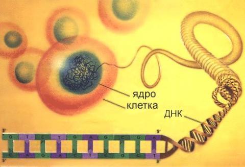 текст при наведении